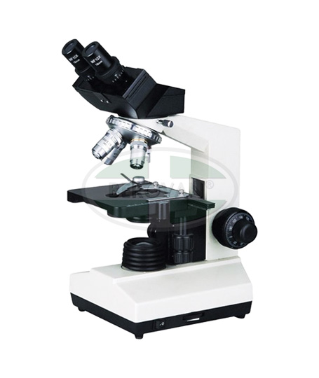MS-MICROSCOPE-BINO.jpg