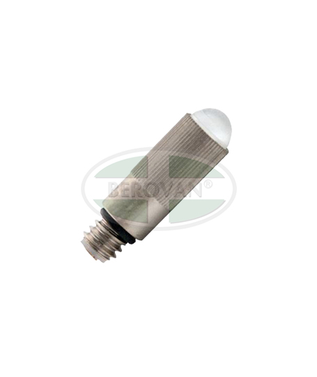 WA-BULB-OLD-LARYNG-ADULT-04800-U.jpg