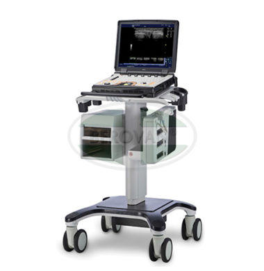 GE Ultrasound Logiq E Pro