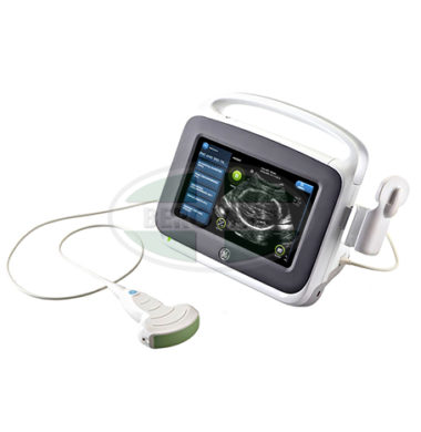 GE Ultrasound Vscan Access